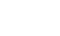 Damask
